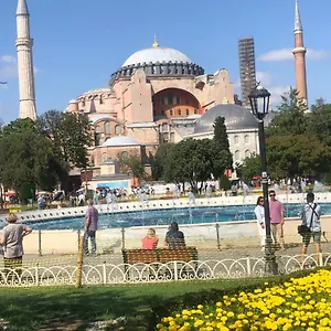 Martı Türkiye
